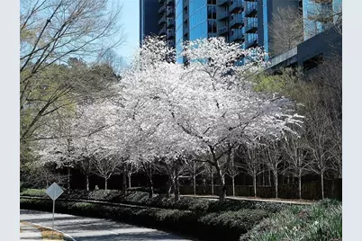 3300 Windy Ridge Parkway SE #1007, Atlanta, GA 30339 - Photo 16