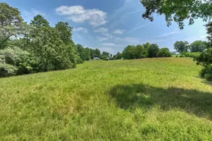 210 La Vista Dr, Blue Ridge, GA 30513 - Photo 52