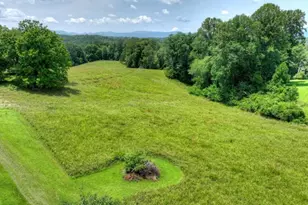 210 La Vista Dr, Blue Ridge, GA 30513 - Photo 6