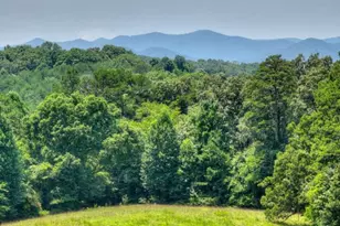 210 La Vista Dr, Blue Ridge, GA 30513 - Photo 4