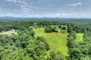 210 La Vista Dr, Blue Ridge, GA 30513 - Photo 54