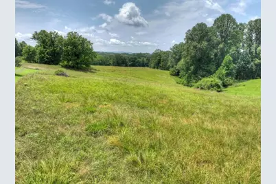 210 Lavista Drive, Blue Ridge, GA 30513 - Photo 50