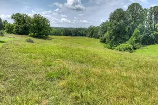 210 La Vista Dr, Blue Ridge, GA 30513 - Photo 50