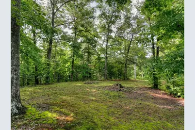 387 Ruby Lane, Mineral Bluff, GA 30559 - Photo 52