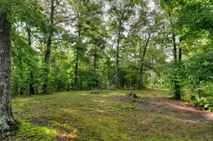 387 Ruby Ln, Mineral Bluff, GA 30559 - Photo 52