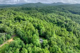 387 Ruby Ln, Mineral Bluff, GA 30559 - Photo 4