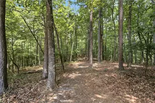 302 Bumpy Trl, Dawsonville, GA 30534 - Photo 66