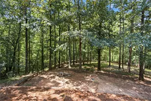 302 Bumpy Trl, Dawsonville, GA 30534 - Photo 60