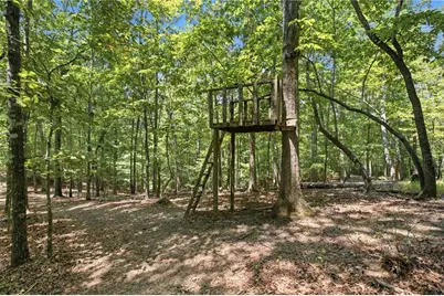 302 Bumpy Trail, Dawsonville, GA 30534 - Photo 66