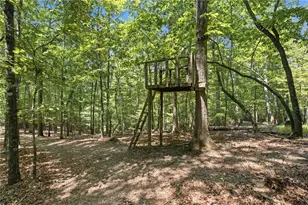 302 Bumpy Trl, Dawsonville, GA 30534 - Photo 66