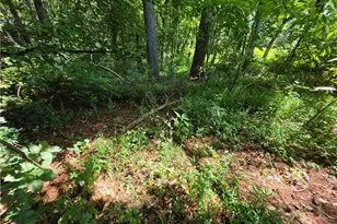 5170 Hurt Bridge Rd, Cumming, GA 30028 - Photo 24
