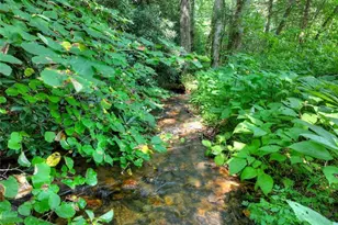 261 Frosty Mountain Trl, Ellijay, GA 30536 - Photo 40