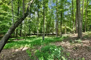 1925 Gene Sarazen Way, Braselton, GA 30517 - Photo 76