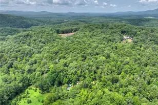 100 Wing Cir, Ellijay, GA 30536 - Photo 50