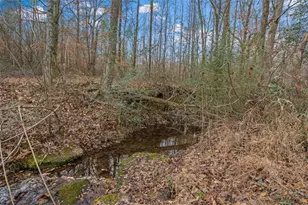 976 Salem Church Rd, Carrollton, GA 30117 - Photo 62