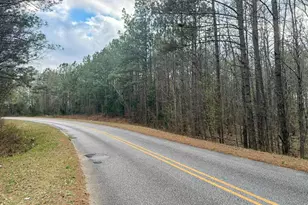 0 Shallow Creek Rd, Elberton, GA 30635 - Photo 1