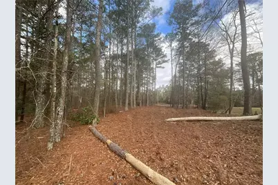8615 Smith James Road, Snellville, GA 30039 - Photo 20