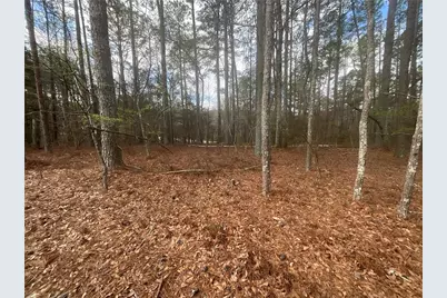 8615 Smith James Road, Snellville, GA 30039 - Photo 18