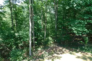 66 Spring Ridge Dr, Dawsonville, GA 30534 - Photo 12