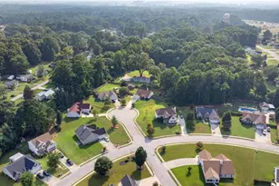 1003 Marsh Ct Ct, Hampton, GA 30228 - Photo 10