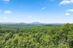 265 Lynda Ln, Cleveland, GA 30528 - Photo 54