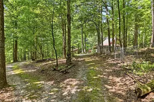 1525 Sperin Rd, Ball Ground, GA 30107 - Photo 50