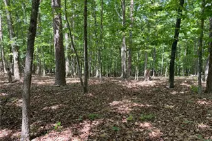 Tr 1A Chalcrest Way, Cave Spring, GA 30124 - Photo 1