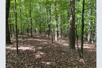 Tr 1A Chalcrest Way, Cave Spring, GA 30124 - Photo 14