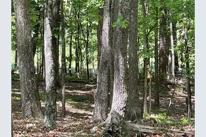 Tr 1A Chalcrest Way, Cave Spring, GA 30124 - Photo 12