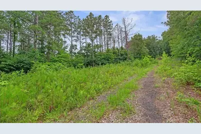1845 Tibbitts Road, Dallas, GA 30132 - Photo 14