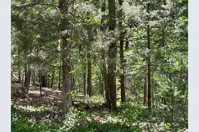 Tr 1B Chalcrest Way, Cave Spring, GA 30124 - Photo 10