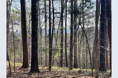 Tr 1B Chalcrest Way, Cave Spring, GA 30124 - Photo 2