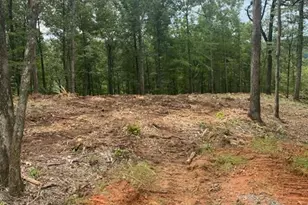 Lot 56 Ridge Line Trail, Ellijay, GA 30540 - Photo 1