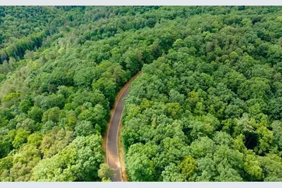 0 Abbott Mill Road, Ellijay, GA 30540 - Photo 4