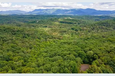 0 Abbott Mill Road, Ellijay, GA 30540 - Photo 2