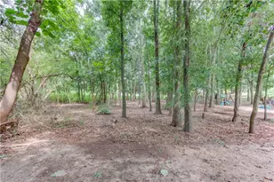 418 Starrs Bridge Rd, Canon, GA 30520 - Photo 30