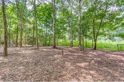 418 Starrs Bridge Road, Canon, GA 30520 - Photo 32