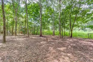 418 Starrs Bridge Rd, Canon, GA 30520 - Photo 32