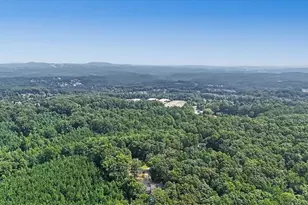 295 Josie Ln, Canton, GA 30114 - Photo 68