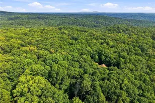21 Yearling Ln, Big Canoe, GA 30143 - Photo 44