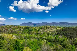 43 S Dustin Dr, Ellijay, GA 30540 - Photo 2