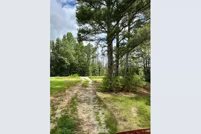 700 Barr Farm Road, Roopville, GA 30170 - Photo 4