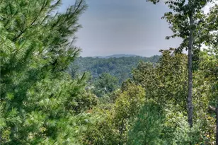1567 Hap Holt Rd, Ellijay, GA 30540 - Photo 68