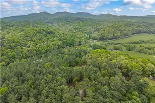 435 Dogwood Way, Blue Ridge, GA 30513 - Photo 68