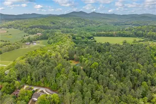 435 Dogwood Way, Blue Ridge, GA 30513 - Photo 36