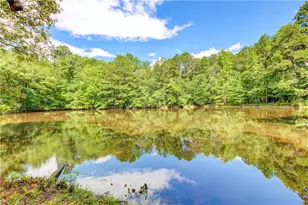 3861 Post Rd, Winston, GA 30187 - Photo 116