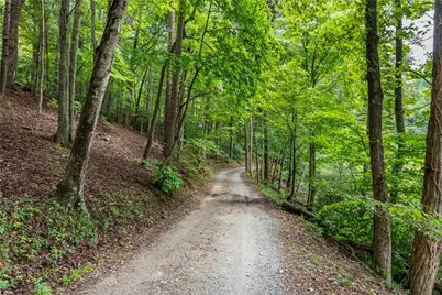 427 N Lake Drive, Ellijay, GA 30536 - Photo 60