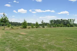 137 Kenney Wy, Locust Grove, GA 30248 - Photo 32