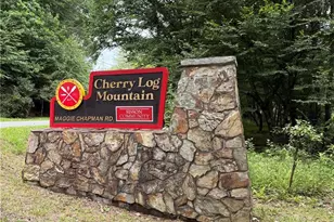 266 Chimney Rock Rd, Cherrylog, GA 30522 - Photo 36