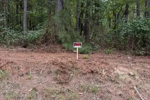 0 Iron Hill Rd Lot 3, Taylorsville, GA 30178 - Photo 1